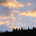 Dawn Shot #1