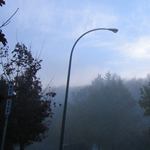 Dawn Shot #2
