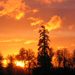 Sunset #1