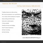 BWP-emailFlier-001
